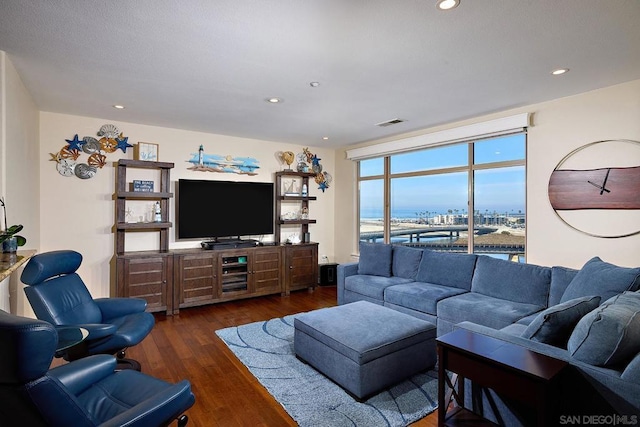 living room with dark hardwood / wood-style flooring