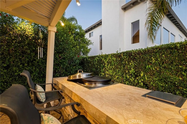 view of patio / terrace featuring an outdoor kitchen