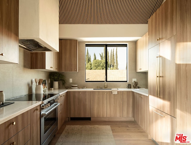 kitchen featuring sink, stainless steel stove, premium range hood, light hardwood / wood-style floors, and decorative backsplash