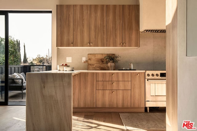 kitchen featuring range with electric cooktop, light hardwood / wood-style floors, and decorative backsplash