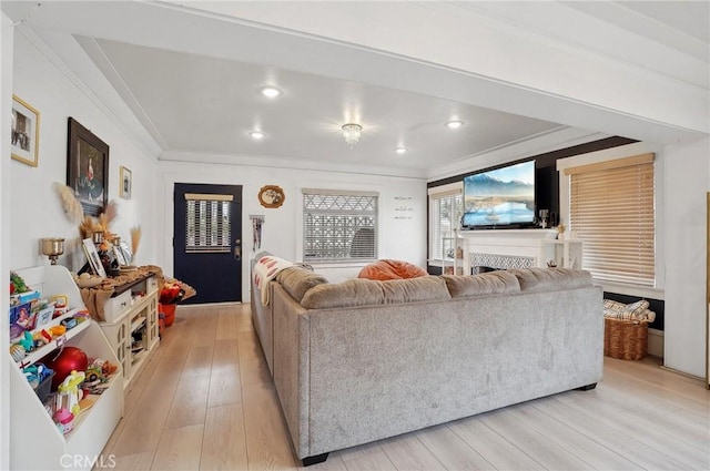 living room featuring crown molding and light wood-type flooring