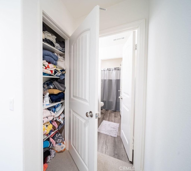 view of closet