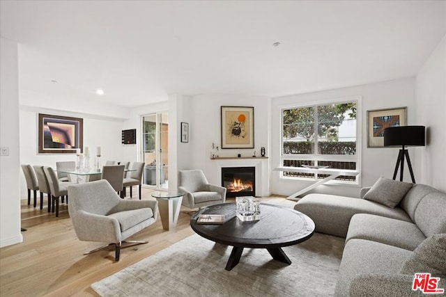 living room with light wood-type flooring