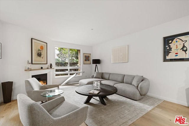 living room featuring light hardwood / wood-style floors