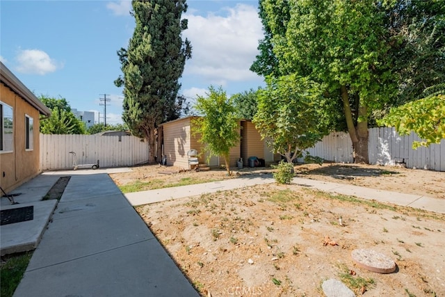 view of yard featuring a patio area