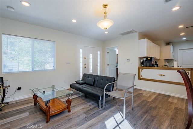 living room featuring hardwood / wood-style floors