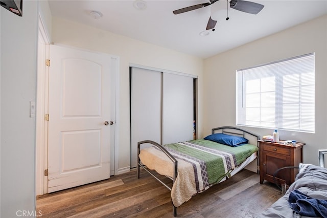 bedroom with dark wood-type flooring, a closet, and ceiling fan