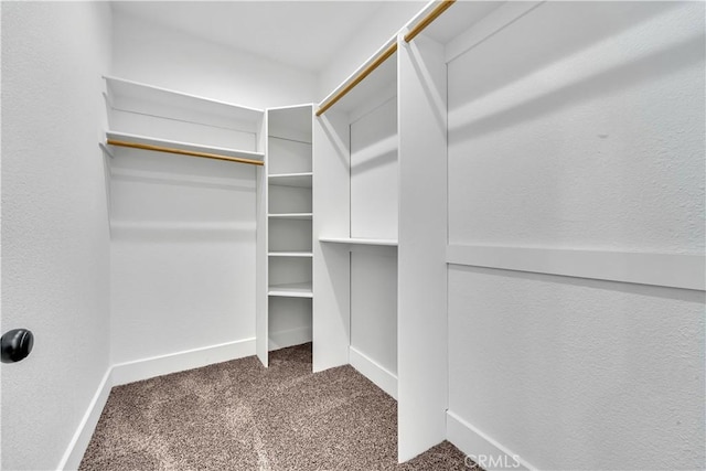 walk in closet with dark colored carpet