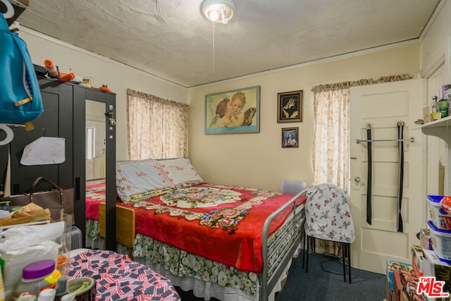 bedroom with carpet floors