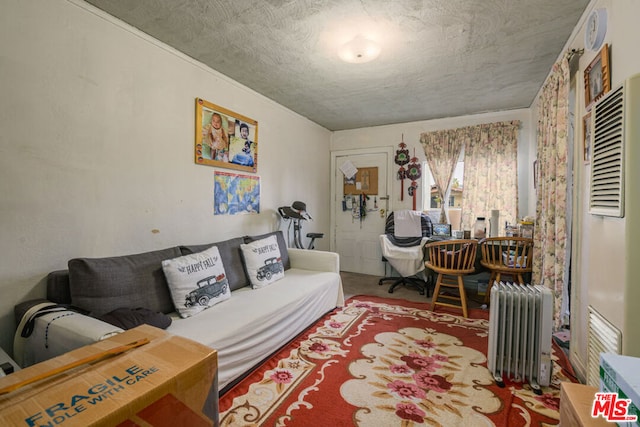 living room with radiator