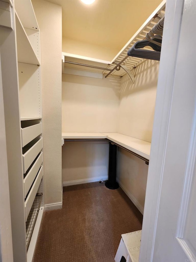 spacious closet featuring dark colored carpet