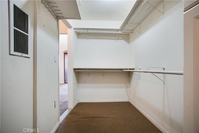 spacious closet with carpet