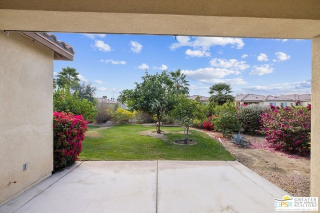 view of yard with a patio area