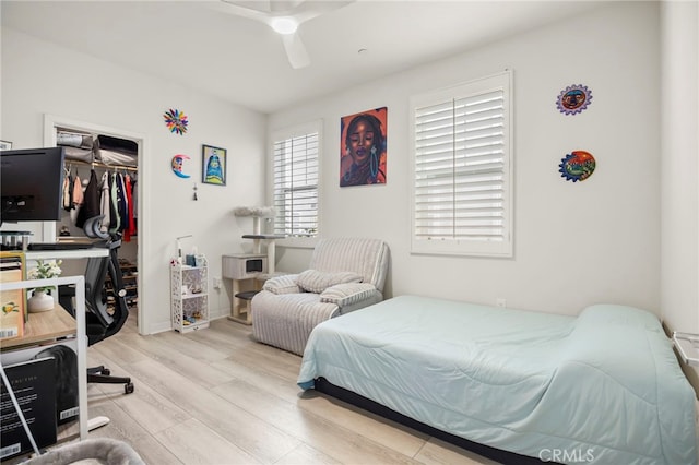 bedroom featuring ceiling fan, a walk in closet, light wood-type flooring, and a closet