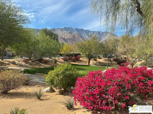 property view of mountains