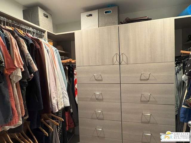 view of walk in closet