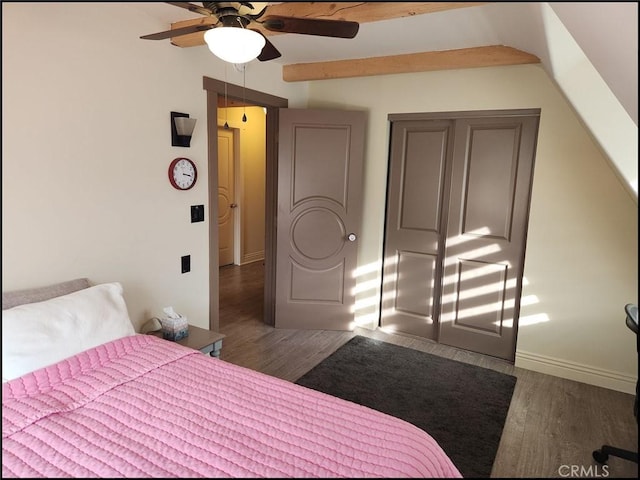 bedroom featuring dark hardwood / wood-style flooring