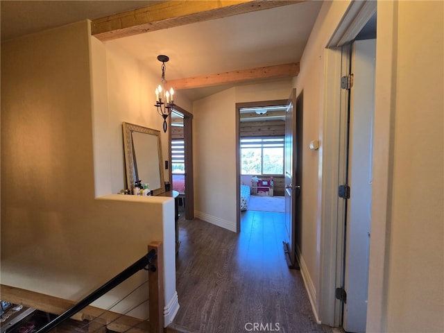 hallway with beamed ceiling, a chandelier, and dark hardwood / wood-style flooring