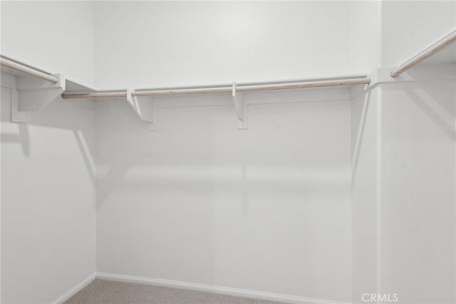 2718 Crozier Ct, Pomona, CA 91767 - walk in closet featuring carpet flooring