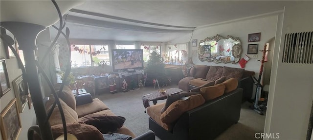 living room featuring carpet floors