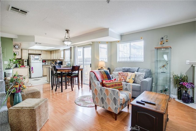 living room featuring ornamental molding, light hardwood / wood-style flooring, and a textured ceiling