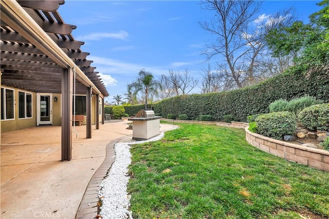 view of yard featuring a patio