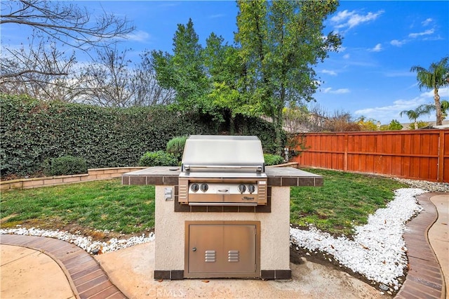 view of yard with an outdoor kitchen