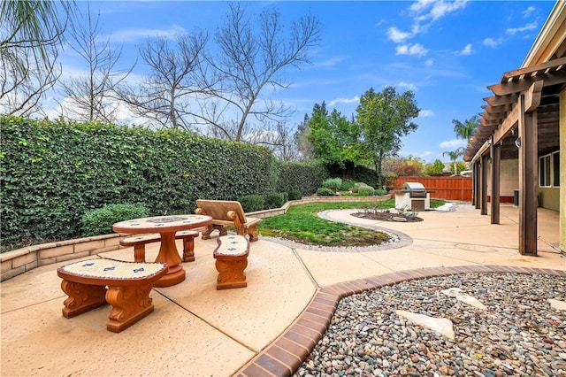 view of patio / terrace featuring area for grilling