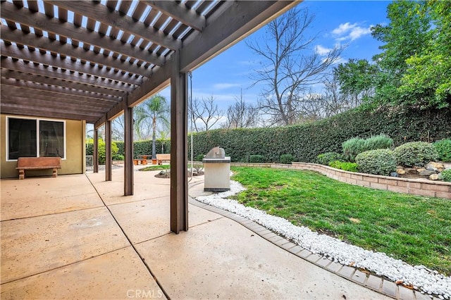 view of patio / terrace featuring an outdoor kitchen and a pergola