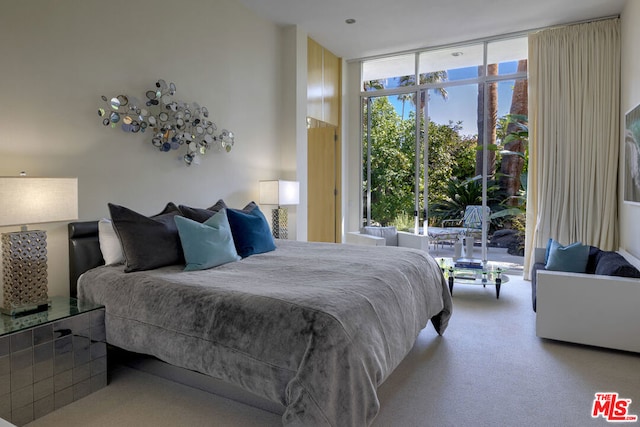 carpeted bedroom with multiple windows and expansive windows