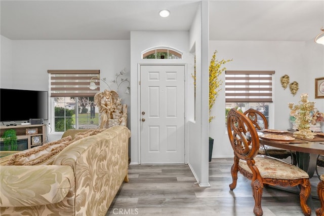 foyer entrance featuring hardwood / wood-style flooring and a wealth of natural light