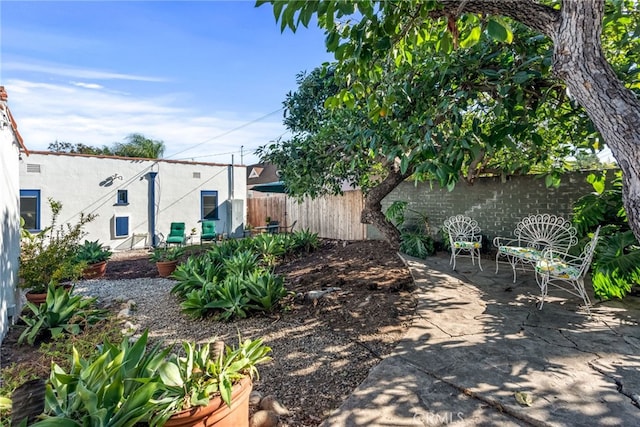 view of yard with a patio area