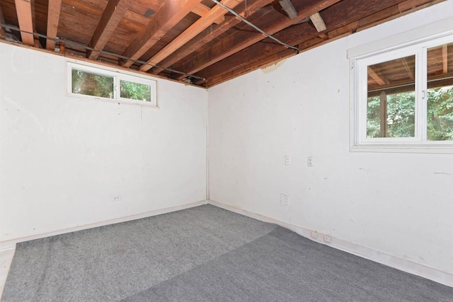 basement with carpet floors