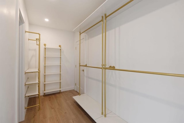 walk in closet with wood-type flooring