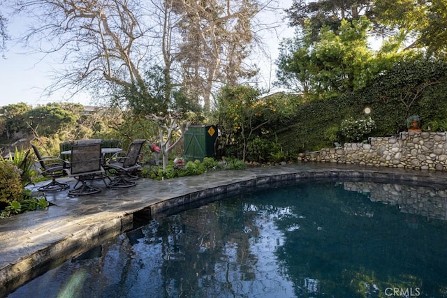 view of pool featuring a patio