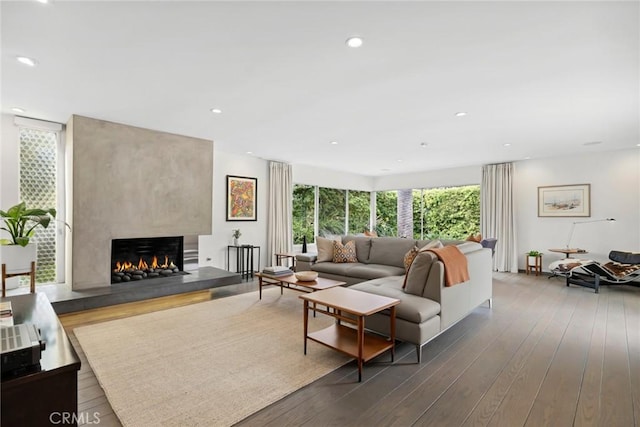 living room with dark hardwood / wood-style floors and a fireplace