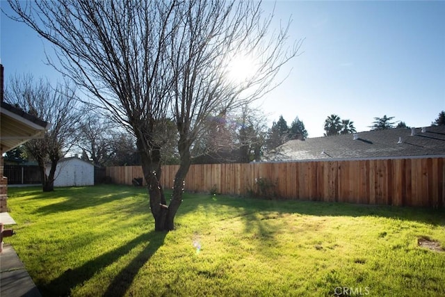 view of yard featuring a shed