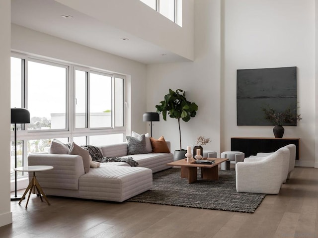 living room featuring wood-type flooring and a high ceiling