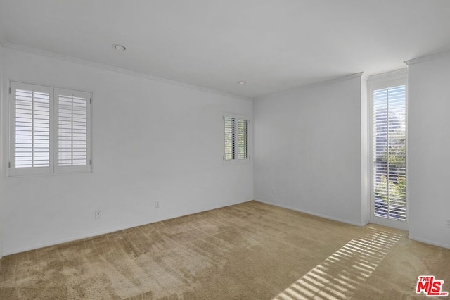 carpeted empty room featuring ornamental molding