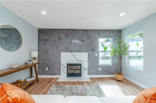 living room featuring a fireplace and light hardwood / wood-style flooring