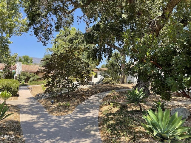 205 Pirie Rd Unit 64, Ojai, CA 93023 - photo 25