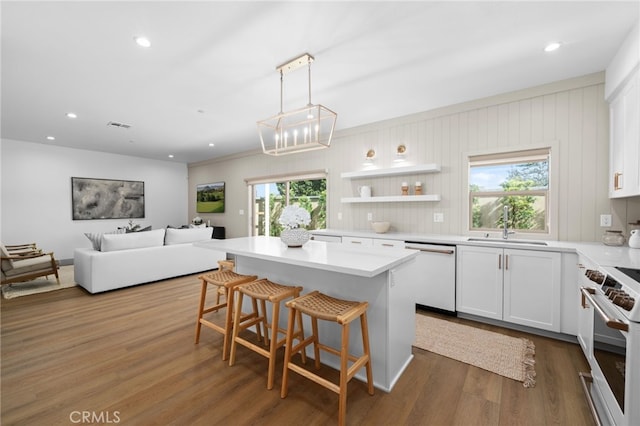 kitchen with dishwasher, range, a wealth of natural light, and a sink