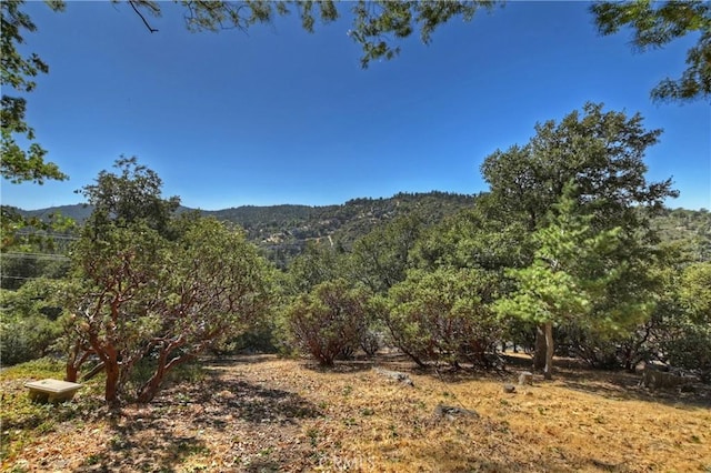 0 Grass Valley Rd, Lake Arrowhead CA, 92352 land for sale