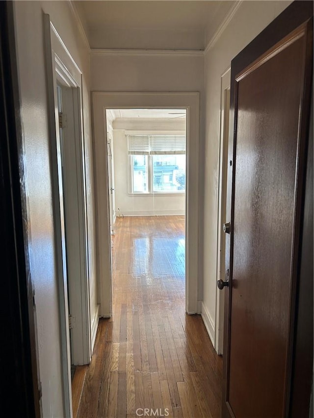 corridor featuring dark wood-type flooring and ornamental molding