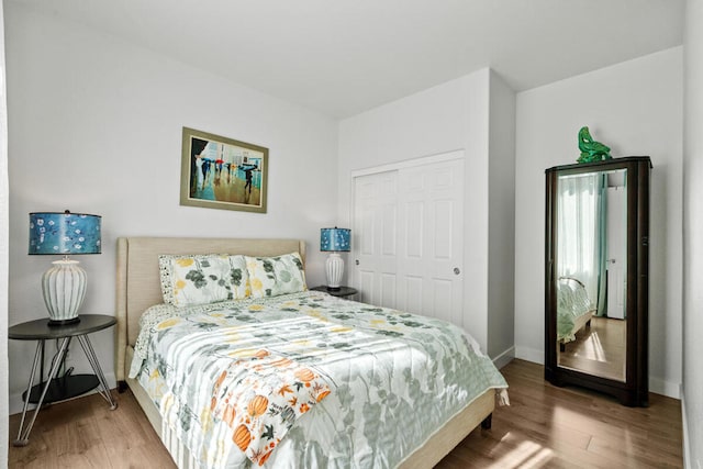 bedroom featuring wood-type flooring and a closet