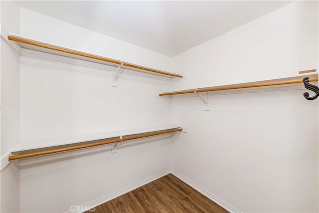 spacious closet featuring hardwood / wood-style flooring