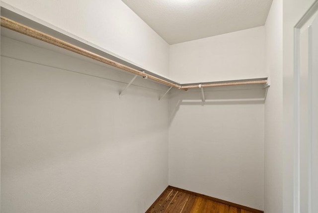 walk in closet featuring dark wood-type flooring