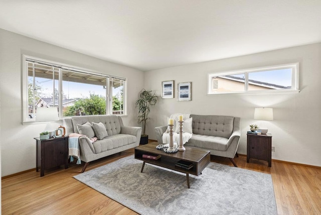 living room featuring light wood-type flooring