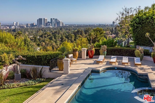 view of pool with a patio