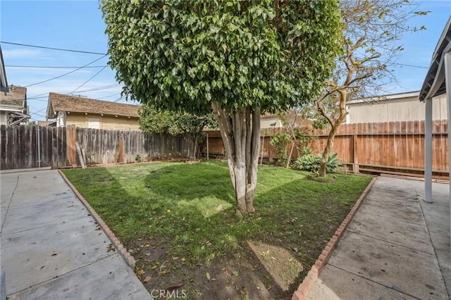 view of yard with a patio area